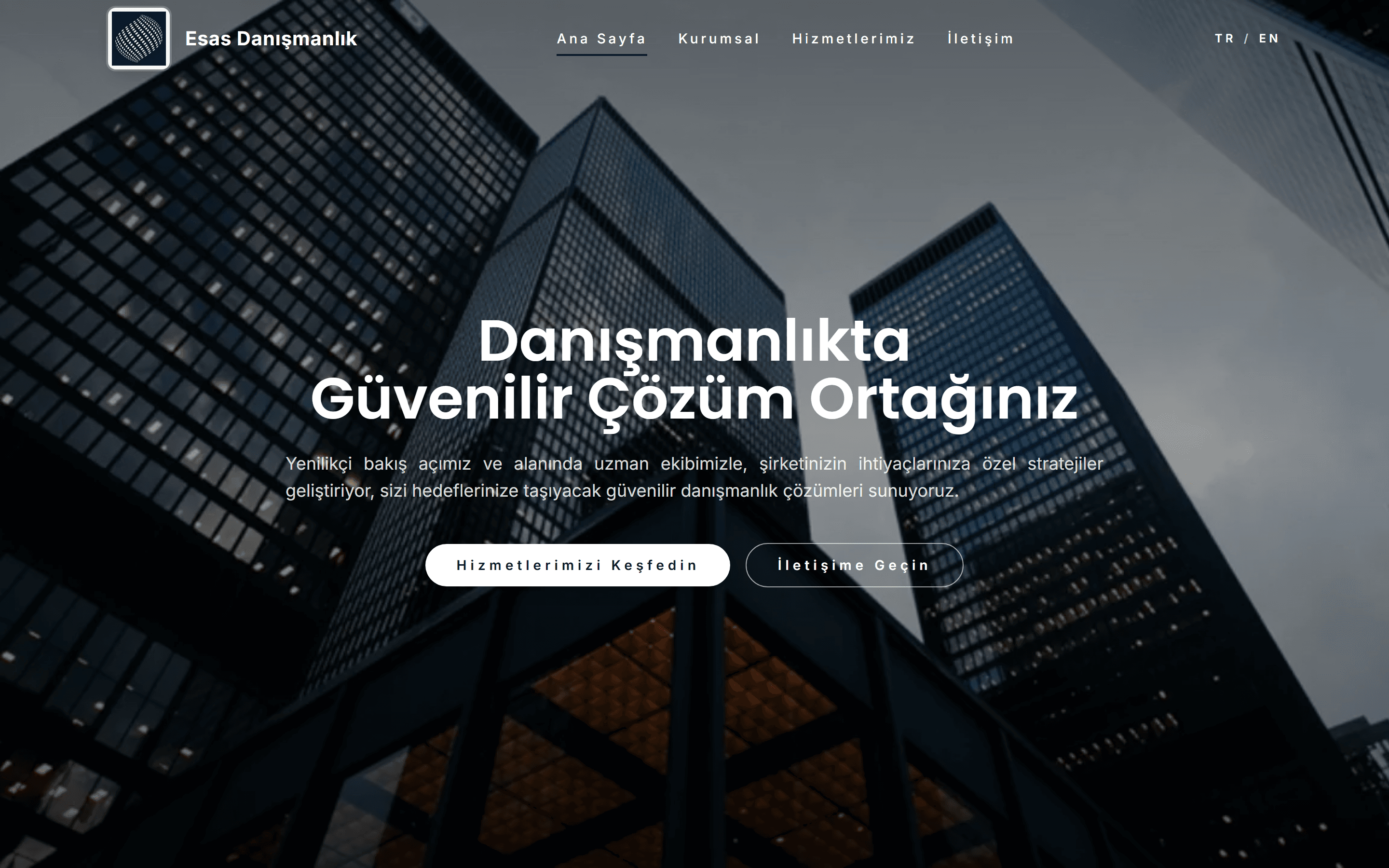 Esas Danışmanlık — desktop view